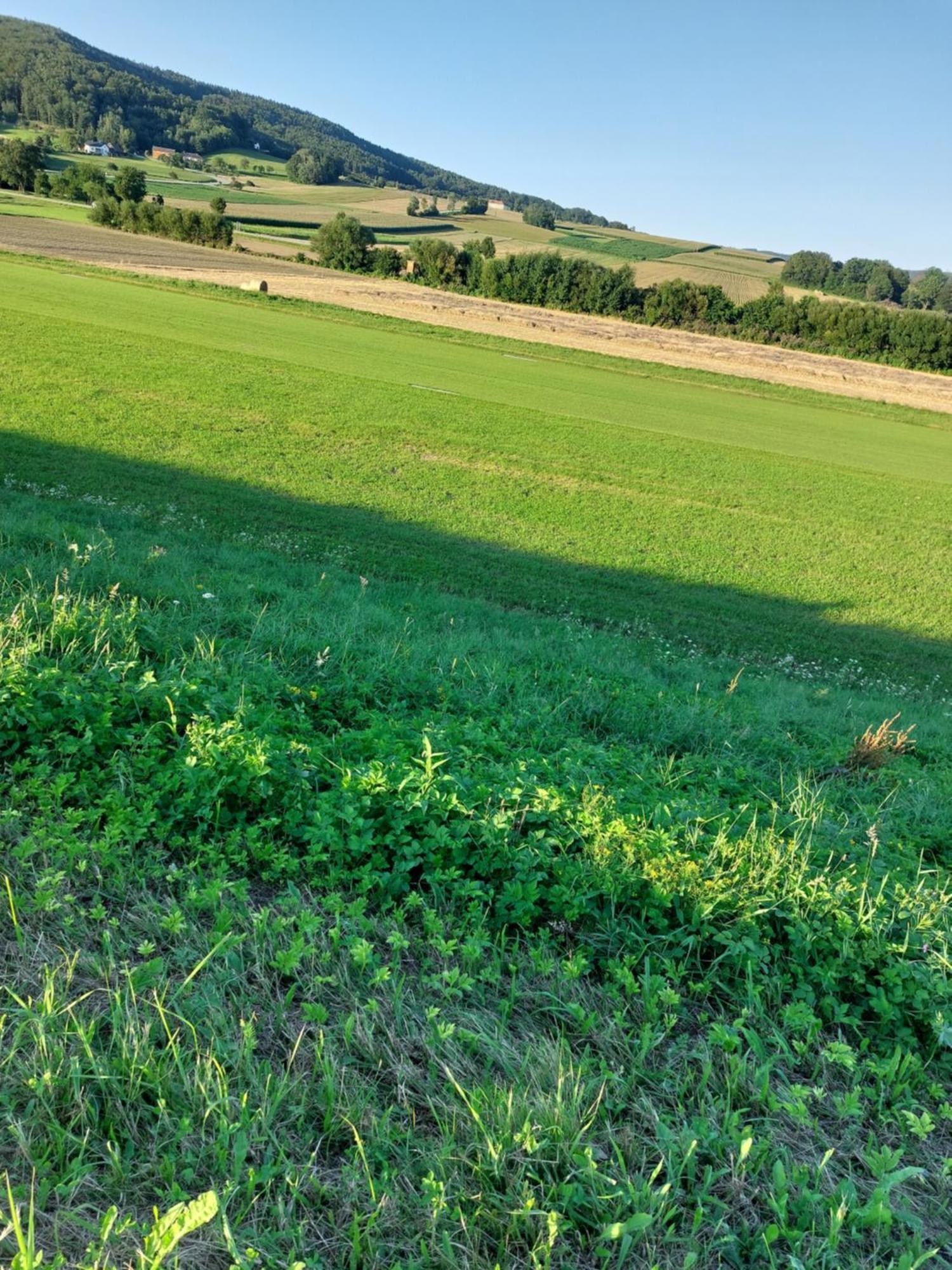 Ferienwohnung Gerti Pinkafeld Bagian luar foto