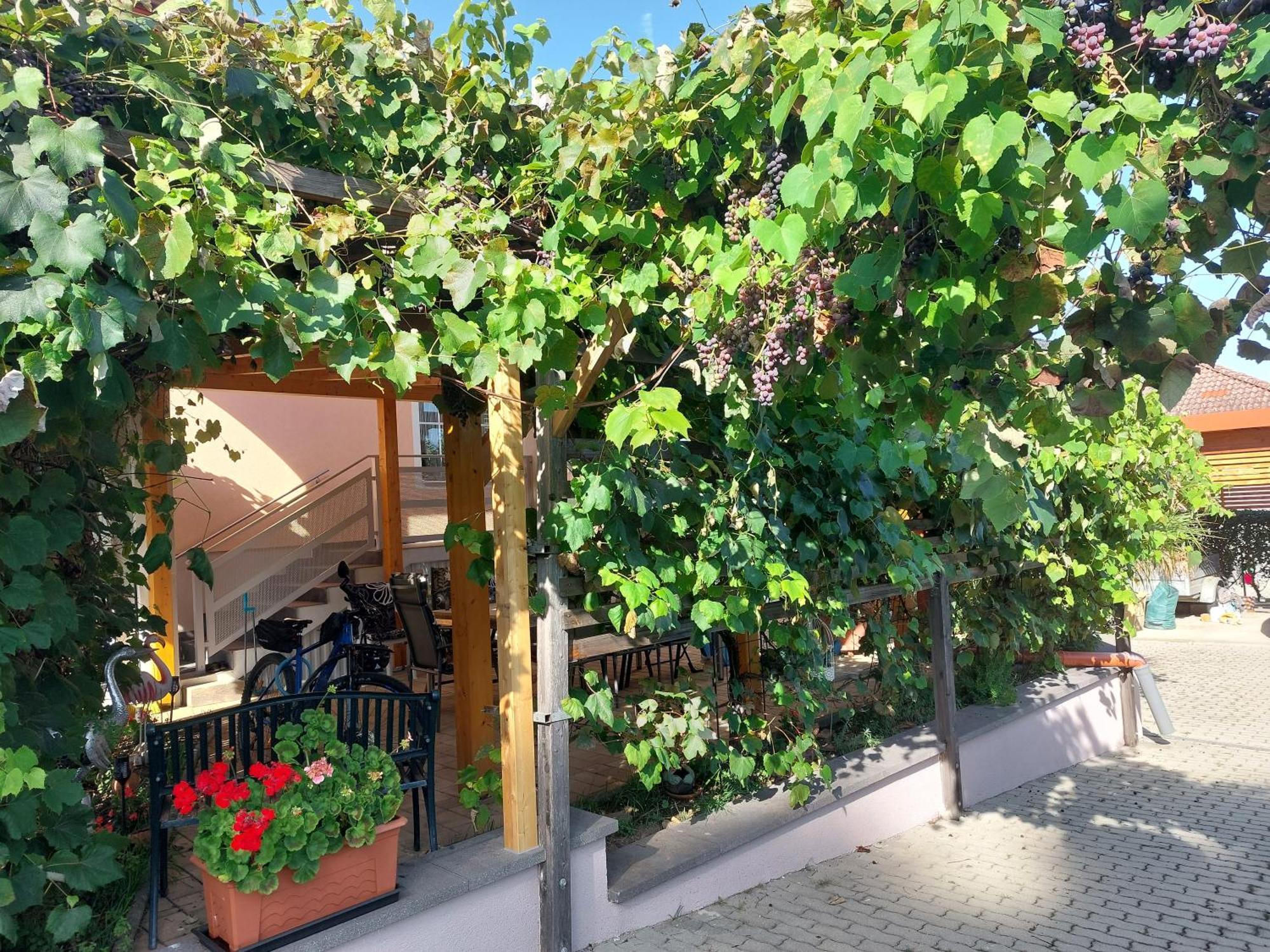Ferienwohnung Gerti Pinkafeld Bagian luar foto