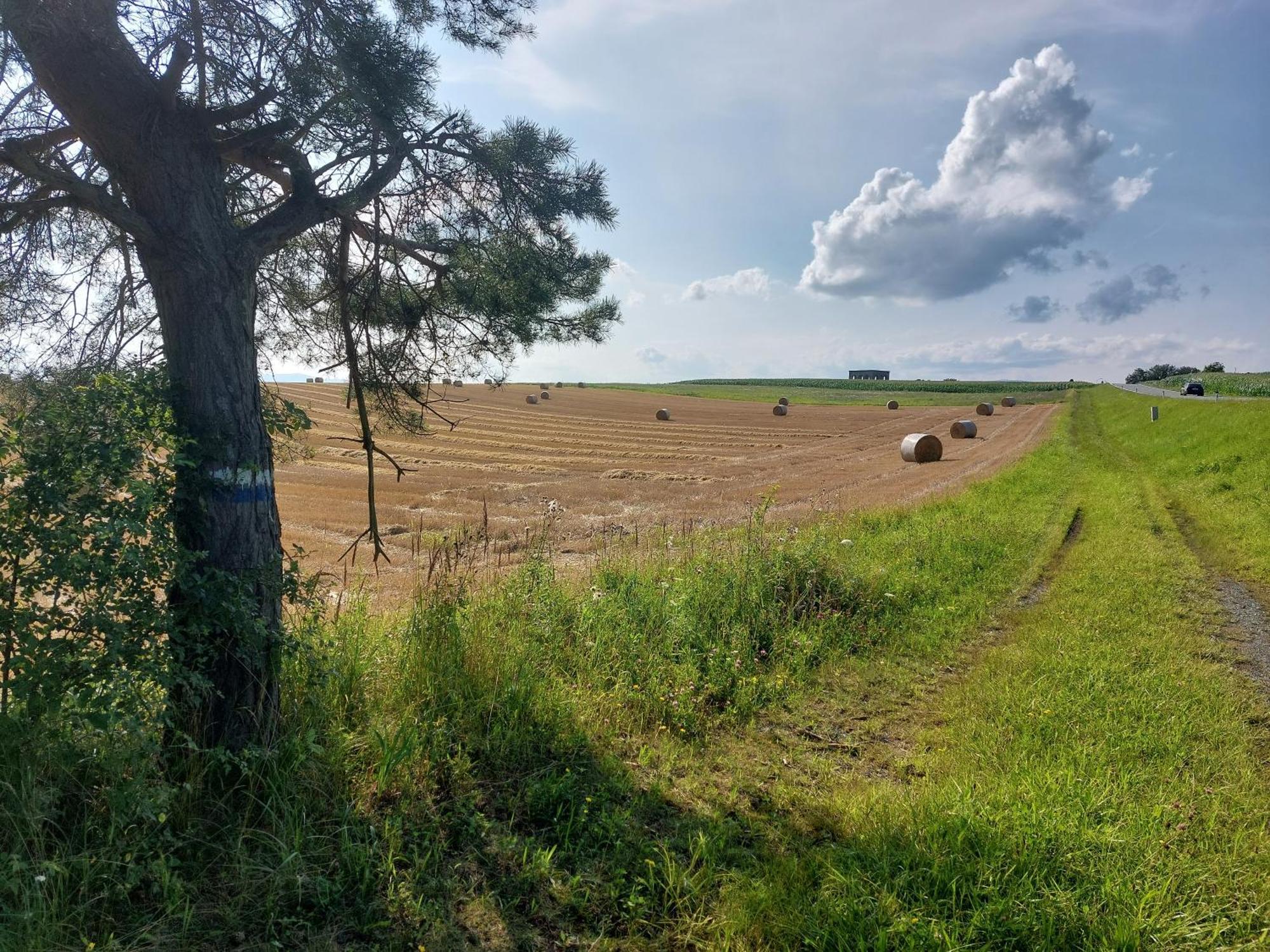 Ferienwohnung Gerti Pinkafeld Bagian luar foto