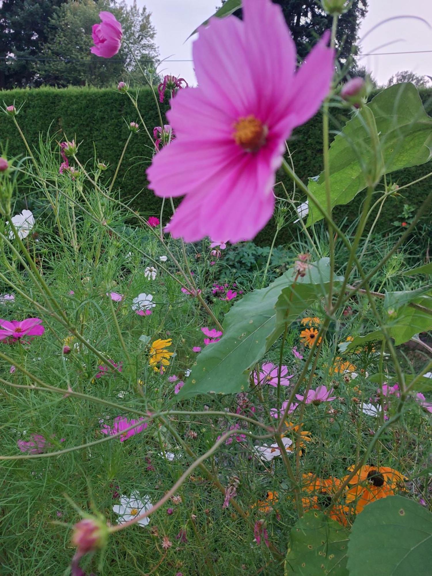 Ferienwohnung Gerti Pinkafeld Bagian luar foto