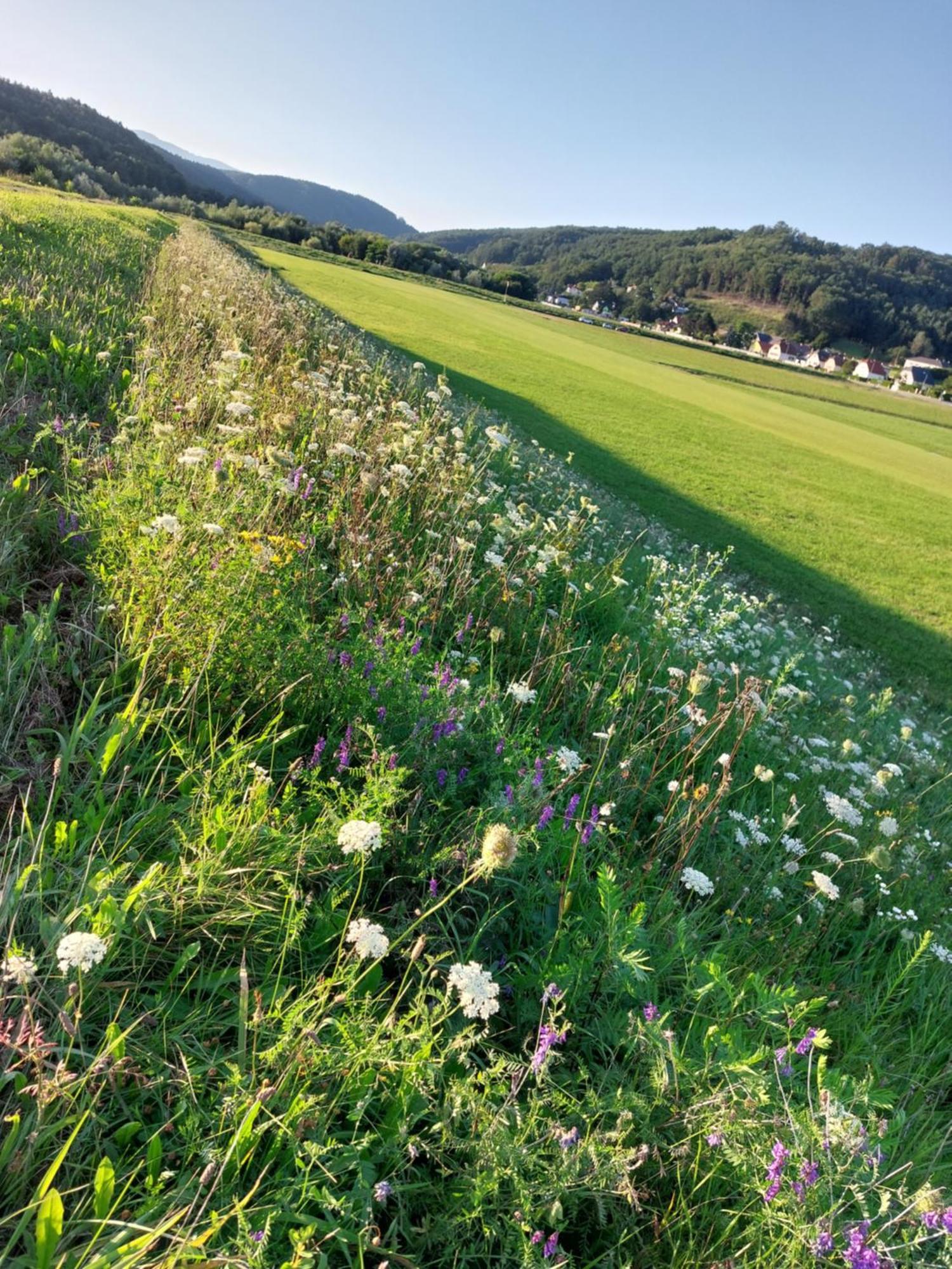 Ferienwohnung Gerti Pinkafeld Bagian luar foto